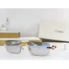 2026 Catier AAA+ Sunglasses #A60632