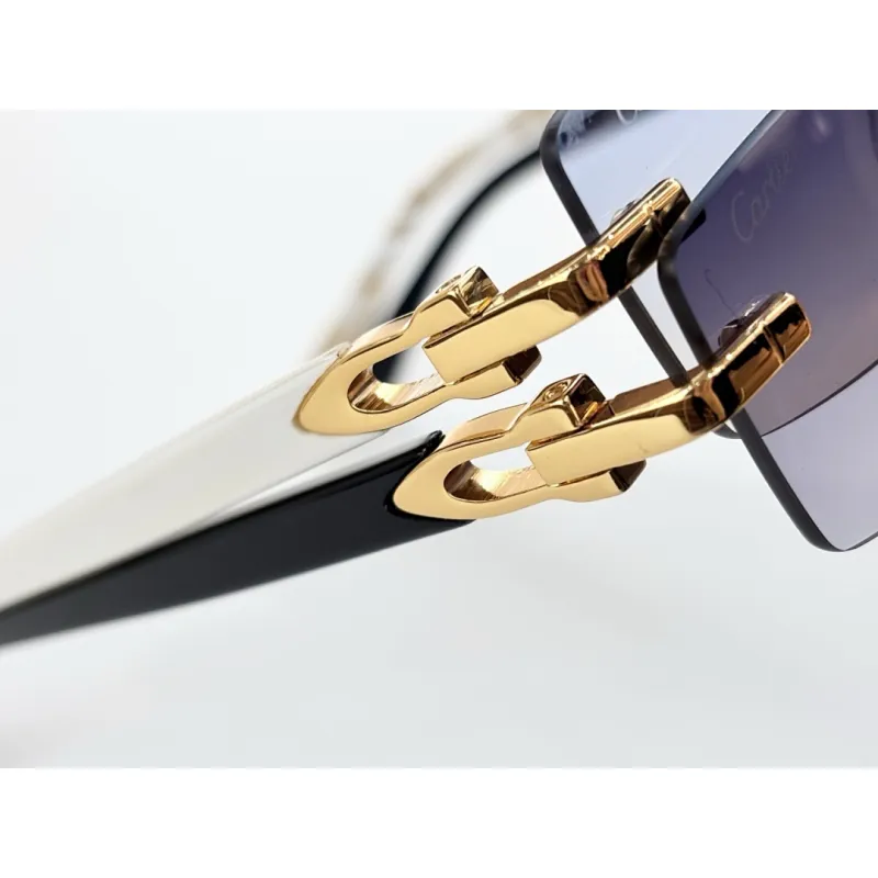 2026 Catier AAA+ Sunglasses #A60632