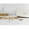 2026 Catier AAA+ Sunglasses #A60632