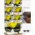 Fendi AAA+ Sunglasses #A39890