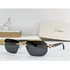 2026 Catier AAA+ Sunglasses #A60635