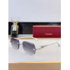 Catier AAA+ Sunglasses original box #A64074