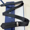 D-ior Necktie #A52391