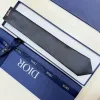 D-ior Necktie #A52391