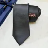 D-ior Necktie #A52391