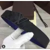 Mens Louis Vuitton AAA+ Belts #99900978