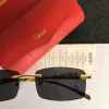 Catier AAA+ Sunglasses #99874787