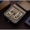 Louis Vuitton Earrings #A55932