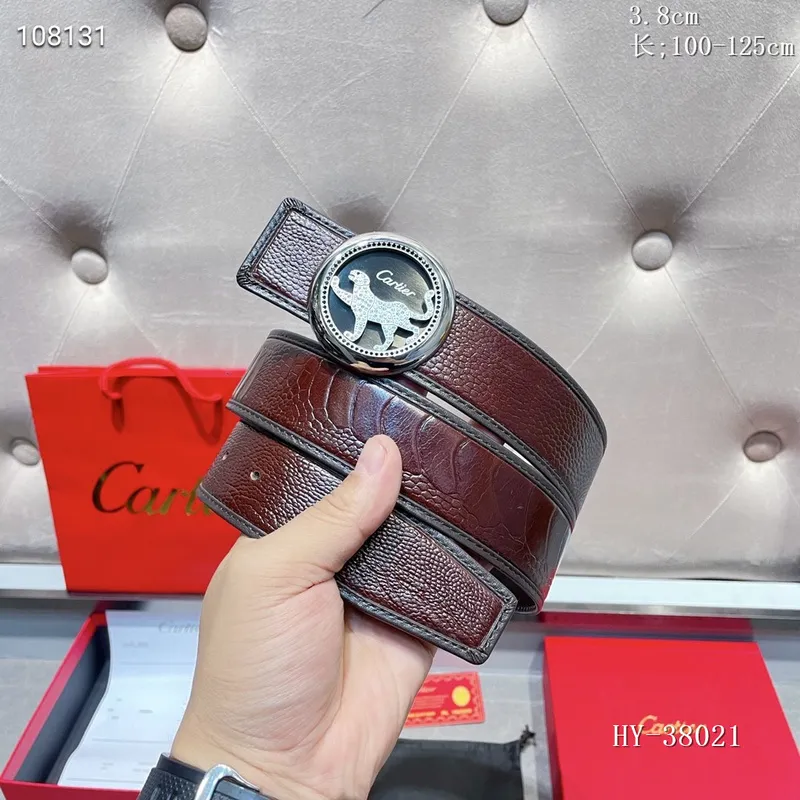 Catier AAA+ belts W3.8cm #999930782