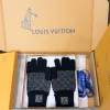 Special Offer LV Gloves original box #A59240 Special Offer LV Gloves original box #A59240