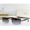 2026 Catier AAA+ Sunglasses #A60632