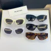 Balenciaga AAA Sunglasses #A39918