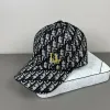 D-ior Hats #A52357