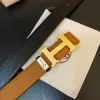 Hermes AAA+ Belts #999935548