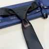 D-ior Necktie #A52391