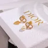 D-ior Tribales Gradient Logo Earrings #A50091