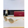 Catier AAA+ Sunglasses original box #A64064