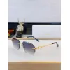 Catier AAA+ Sunglasses original box #A64068