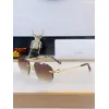 Catier AAA+ Sunglasses original box #A64068