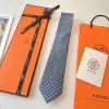 Hermes Neckties #A52494
