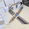 D-ior Scarf Small scarf decorate the bag scarf strap #A48611