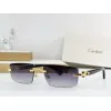 2026 Catier AAA+ Sunglasses #A60632