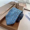 Burberry Necktie #A52480