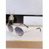 Catier AAA+ Sunglasses original box #A64069