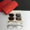 Catier AAA+ Sunglasses #99874787