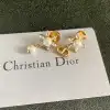 D-ior Earrings #A52945