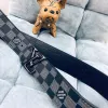 Mens Louis Vuitton AAA+ Belts #9124859 Mens Louis Vuitton AAA+ Belts #9124859
