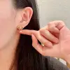 D-ior Earrings #A52944
