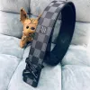Mens Louis Vuitton AAA+ Belts #9124859 Mens Louis Vuitton AAA+ Belts #9124859