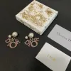 D-ior Tribales Gradient Logo Earrings #A50089