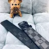Mens Louis Vuitton AAA+ Belts #9124859 Mens Louis Vuitton AAA+ Belts #9124859