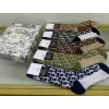 Brand D-ior socks (5 pairs) #999902055