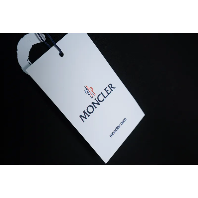 Moncler T-shirts for men #A23951