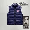 Ca*Goose New Arrival Stand-Collar Down Vest for Women/Men Winter Essential Luxury Outerwear #A57859