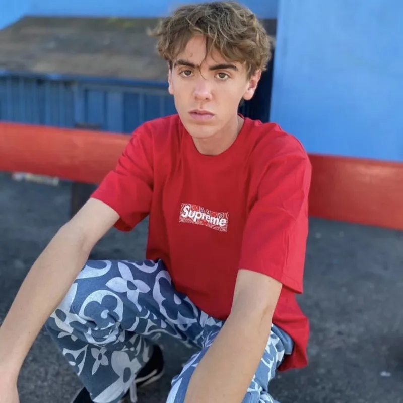 SUPREME Bandana Box Logo TEE (5 colors) #99117648 SUPREME Bandana Box Logo TEE (5 colors) #99117648