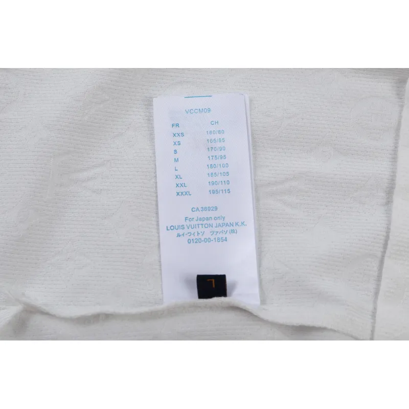 Louis Vuitton T-Shirts for Men Polo Shirts #A62598