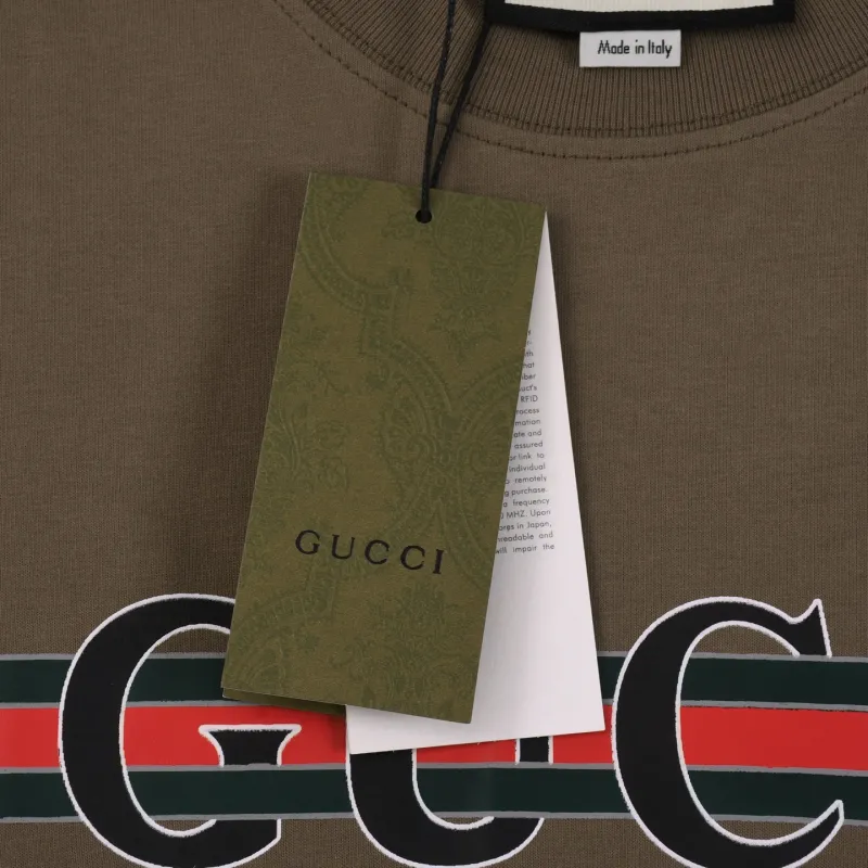 Gucci T-shirts for Gucci Mens AAA T-shirts #A61264