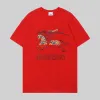 Burberry T-Shirts for Burberry  AAAA T-Shirts #A62987