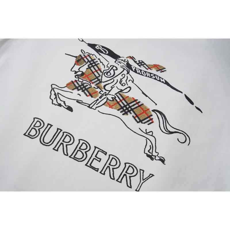 Burberry T-Shirts for Burberry  AAAA T-Shirts #A62987