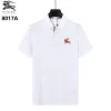 Burberry T-Shirts for Burberry AAAA T-Shirts #A64460 Burberry T-Shirts for Burberry AAAA T-Shirts #A64460