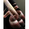Givenchy T-shirts for MEN snake Black/White #A47156 Givenchy T-shirts for MEN snake Black/White #A47156