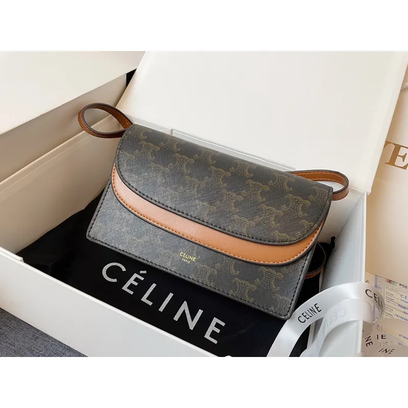 CELINE 2024 new handbag #A34856