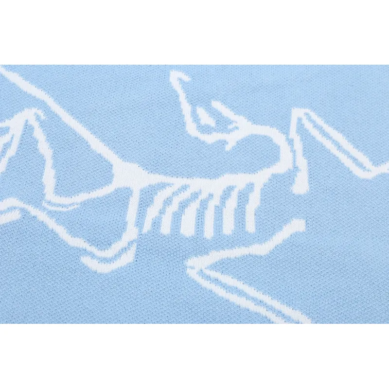 ARCTERYX Sweaters for Men #A56810
