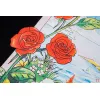 Casablanca T-Shirts #A47523