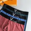Louis Vuitton Underwears for Men Soft skin-friendly light and breathable (3PCS) #99115946 Louis Vuitton Underwears for Men Soft skin-friendly light and breathable (3PCS) #99115946