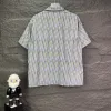 Dior shirts for Dior Short-sleeved shirts for men #A60665